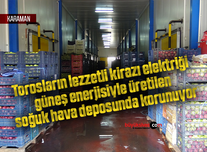 Torosların lezzetli kirazı elektriği güneş enerjisiyle üretilen soğuk hava deposunda korunuyor