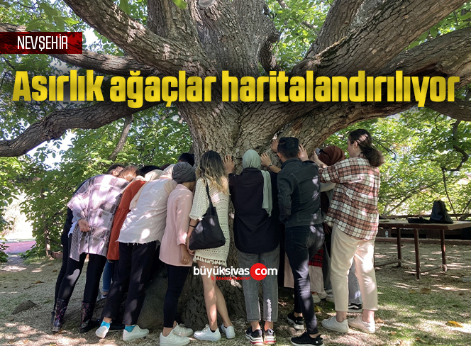 Asırlık ağaçlar haritalandırılıyor