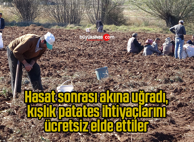 Hasat sonrası akına uğradı, kışlık patates ihtiyaçlarını ücretsiz elde ettiler