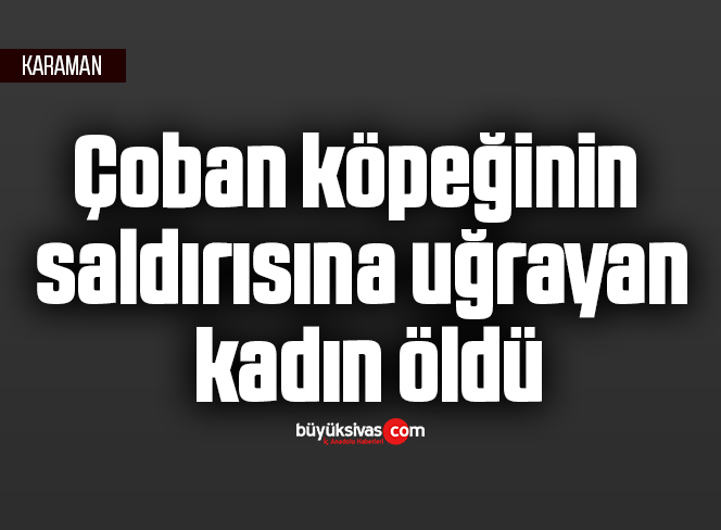 Çoban köpeğinin saldırısına uğrayan kadın öldü