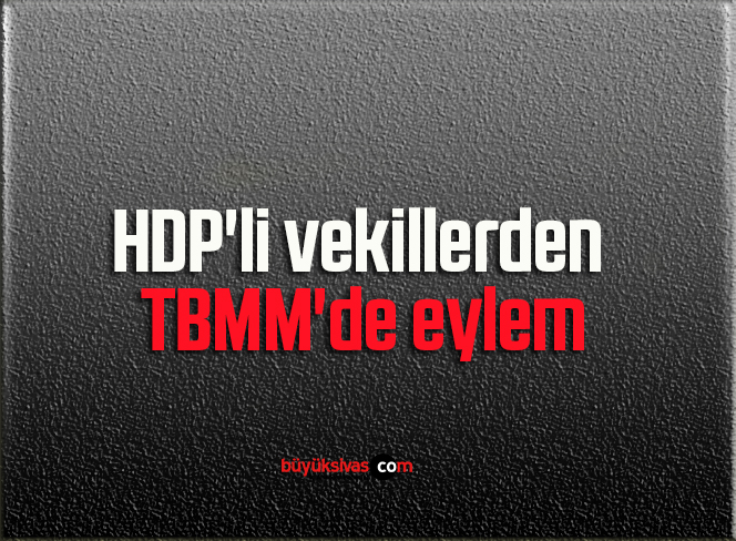 HDP’li vekillerden TBMM’de eylem