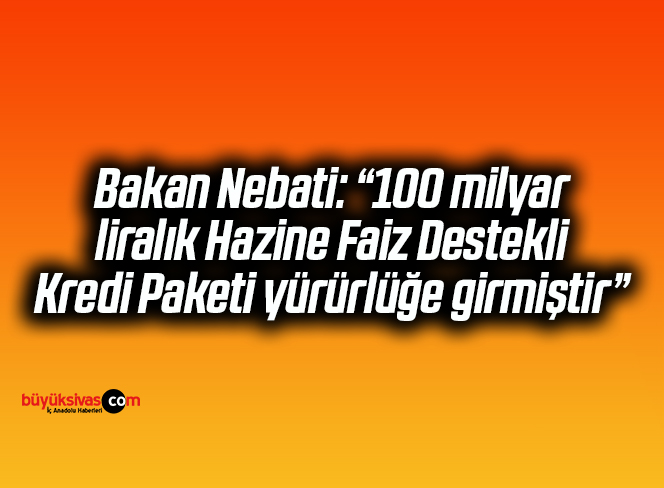 Bakan Nebati: “100 milyar liralık Hazine Faiz Destekli Kredi Paketi yürürlüğe girmiştir”