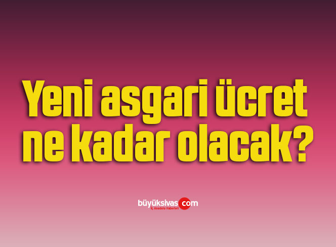 Yeni asgari ücret ne kadar olacak?