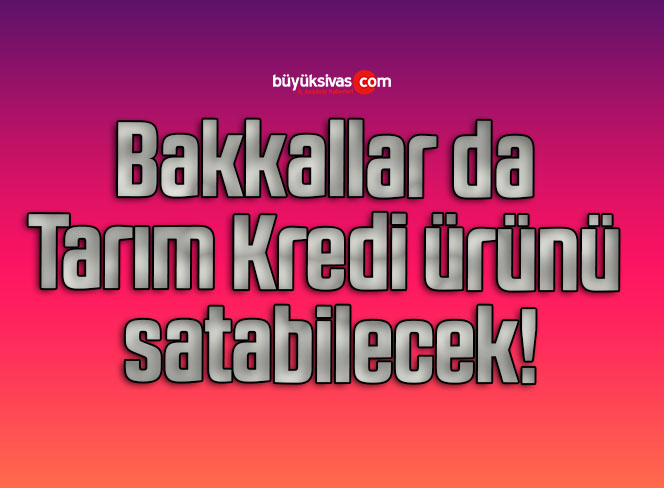 bakkal