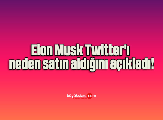 elon