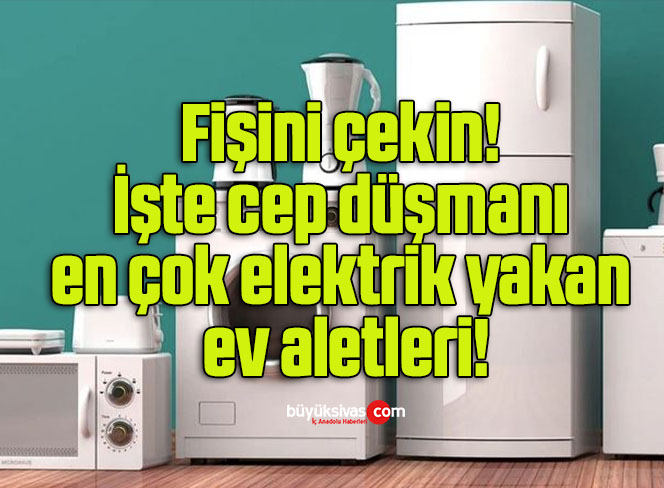 fiş