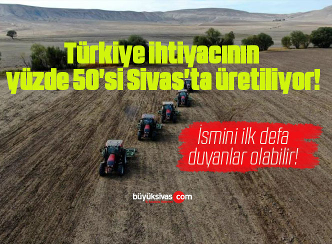 Türkiye ihtiyacının yüzde 50’si Sivas’ta üretiliyor!