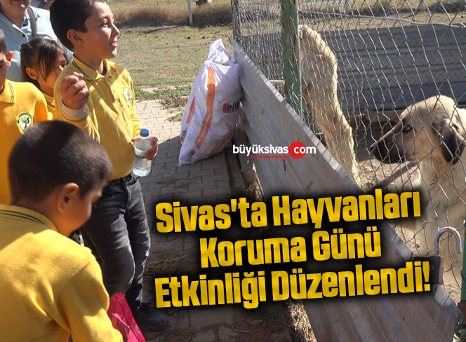 Sivas’ta Hayvanları Koruma Günü Etkinliği Düzenlendi!