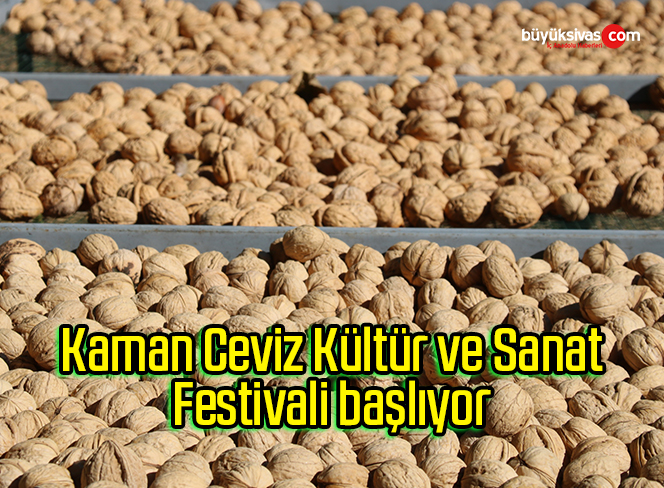 Kaman Ceviz Kültür ve Sanat Festivali başlıyor
