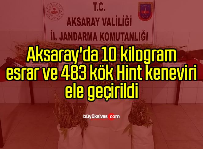 Aksaray’da 10 kilogram esrar ve 483 kök Hint keneviri ele geçirildi