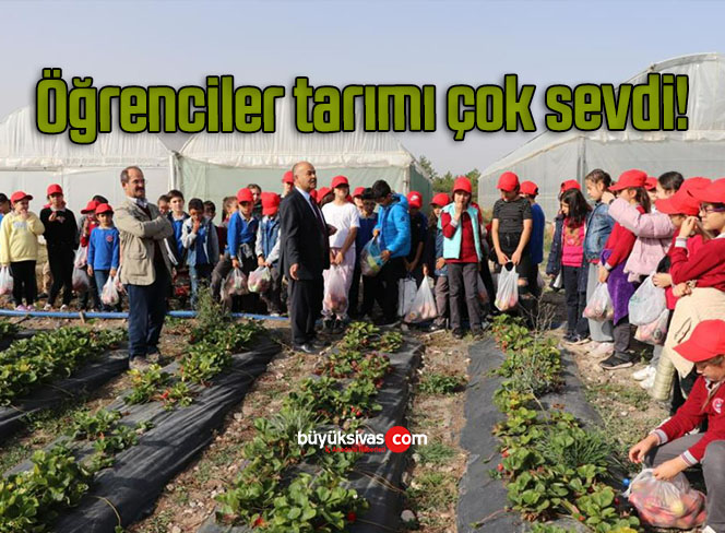 öğrenciler