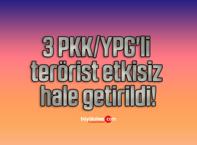 pkk 3