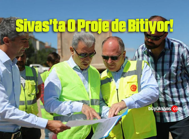 proje