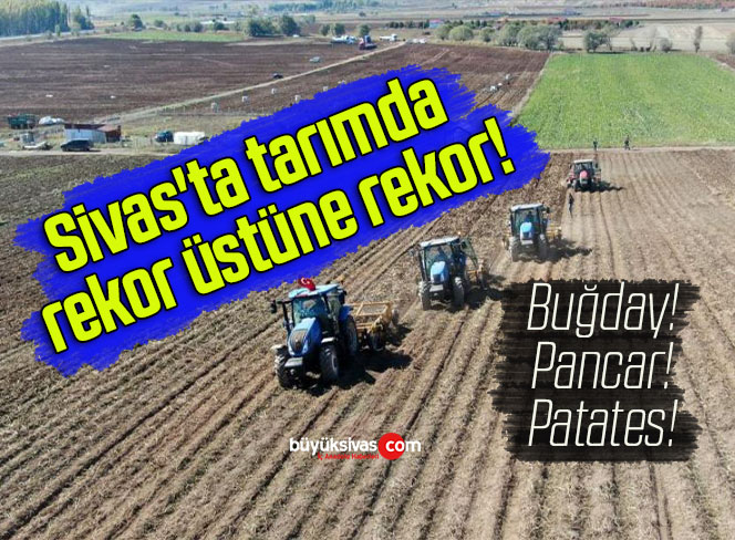 Sivas’ta tarımda rekor üstüne rekor!