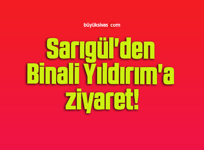 sarıgül