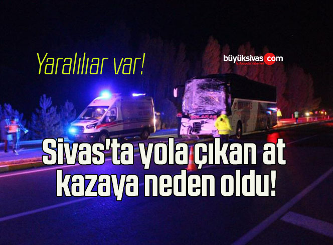 Sivas’ta yola çıkan at kazaya neden oldu!