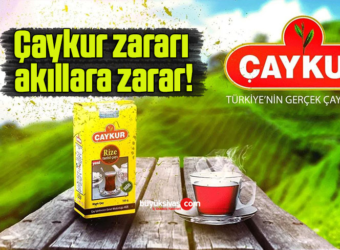 çaykur