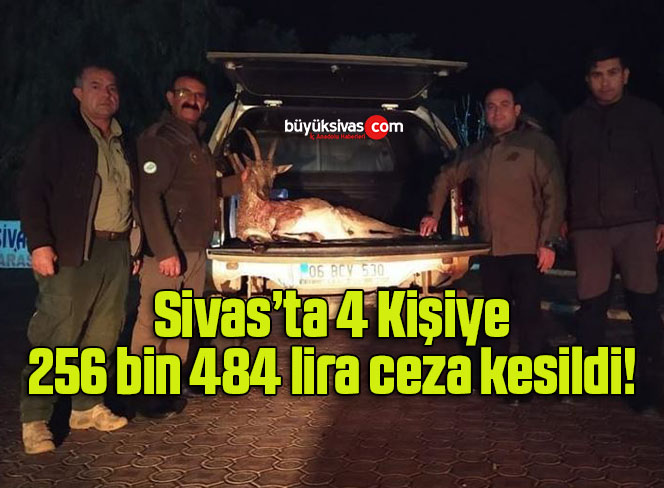 Sivas’ta yaban keçisi avlayan 4 kişiye para cezası kesildi!