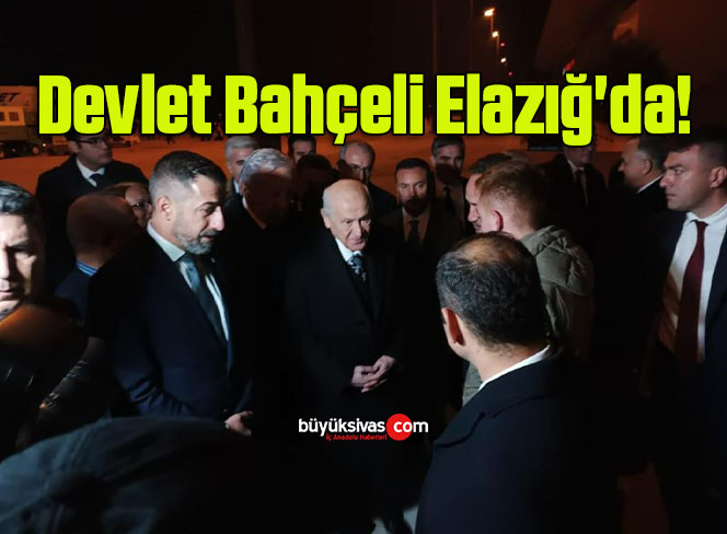 devlet