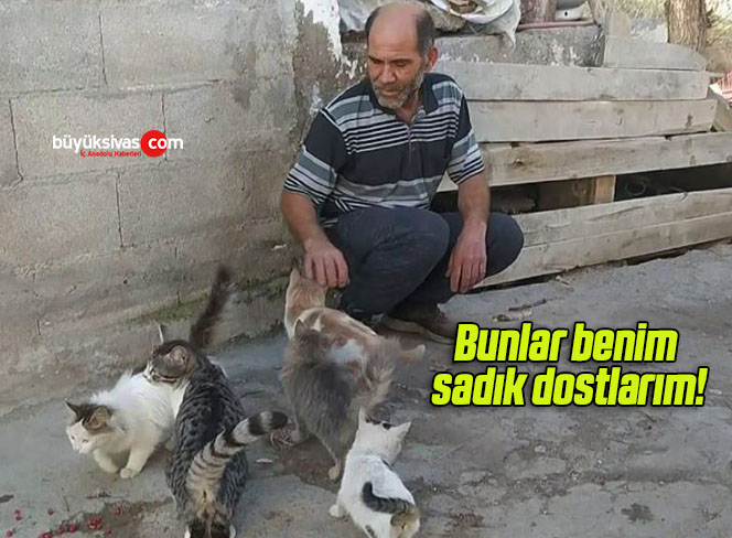 Bunlar benim sadık dostlarım!