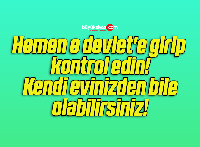 e devlet