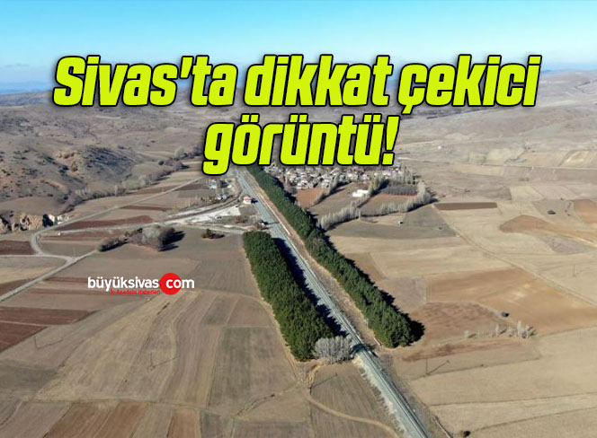 Sivas’ta dikkat çekici görüntü!