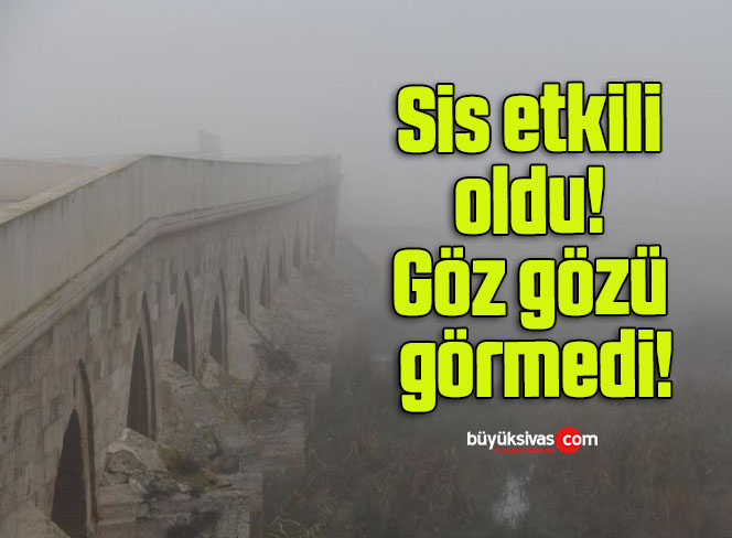 Sis etkili oldu! Göz gözü görmedi!