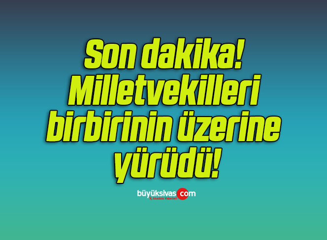 milletvekilleri