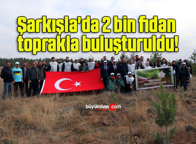 şarkışla