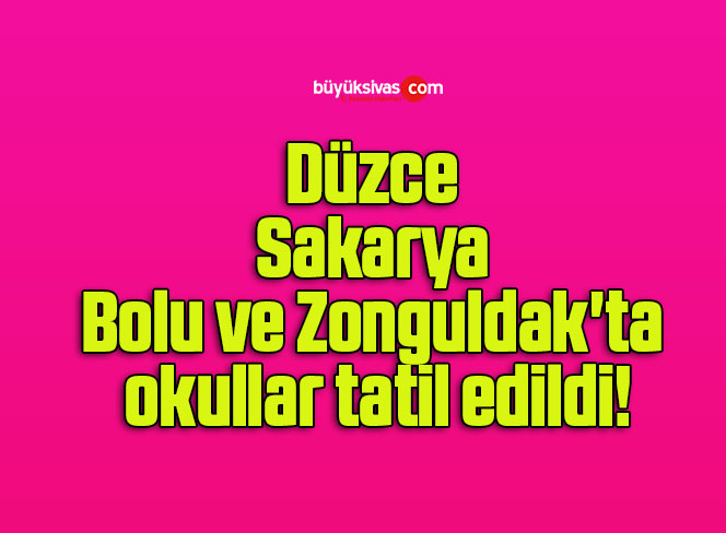 tatil