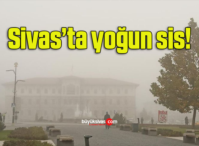 Sivas’ta yoğun sis!
