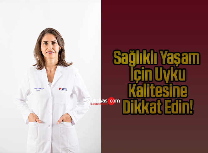 _Doç. Dr. Melek Kandemir Yılmaz,_102751465