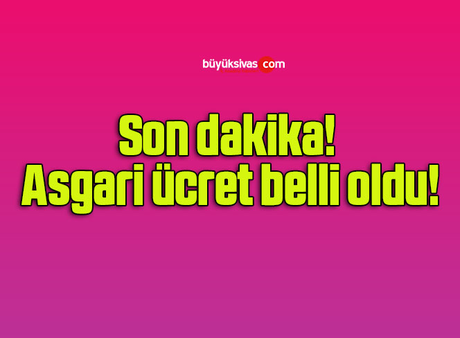 Son dakika! Asgari ücret belli oldu!