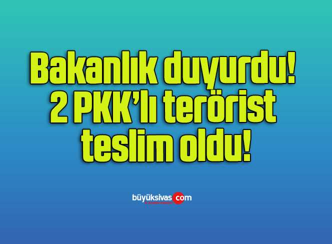Bakanlık duyurdu! 2 PKK’lı terörist teslim oldu!
