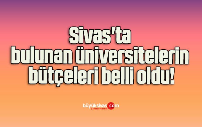 Sivas’ta bulunan üniversitelerin bütçeleri belli oldu!