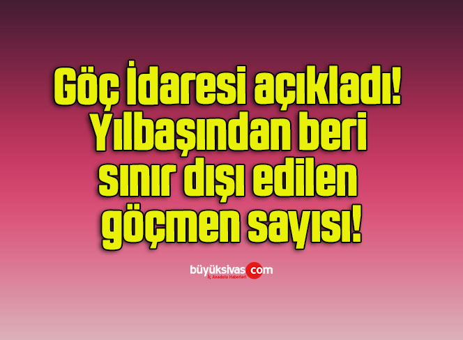 Göç İdaresi açıkladı! Yılbaşından beri sınır dışı edilen göçmen sayısı!