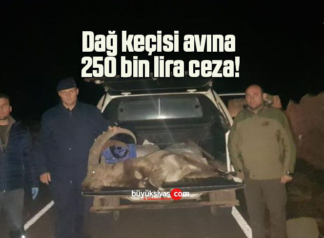 Dağ keçisi avına 250 bin lira ceza!