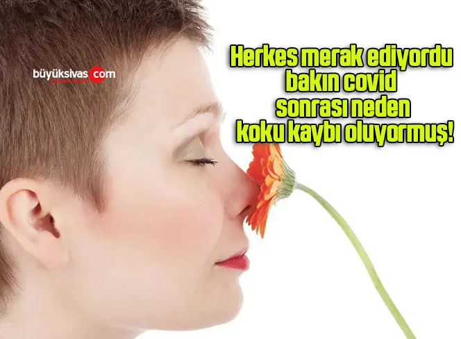Herkes merak ediyordu bakın covid sonrası neden koku kaybı oluyormuş!