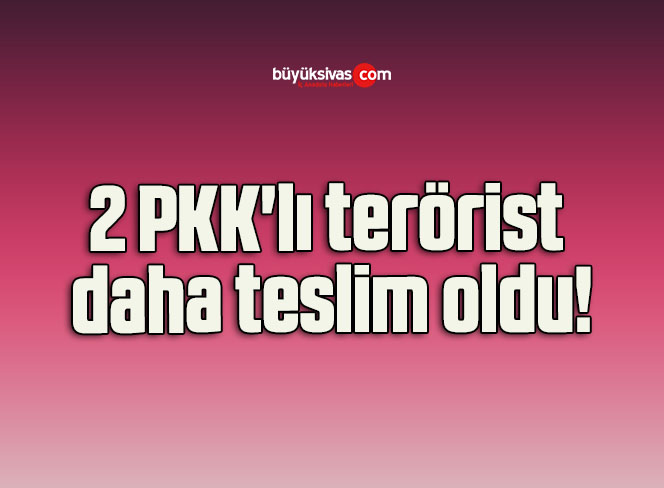 2 PKK’lı terörist daha teslim oldu!
