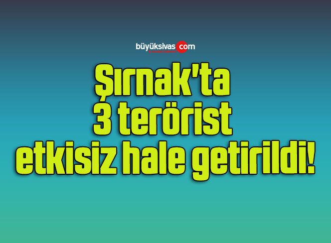 Şırnak’ta 3 terörist etkisiz hale getirildi!
