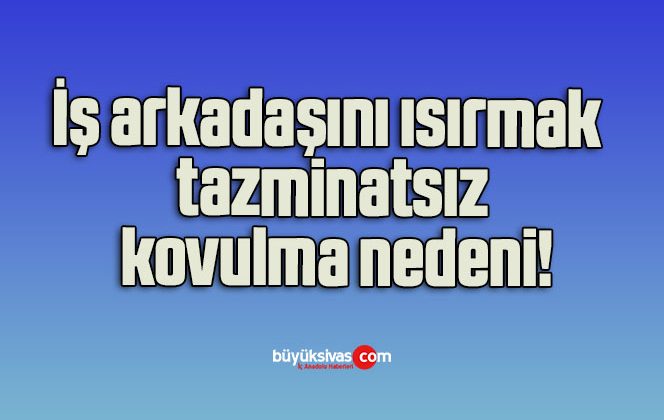 İş arkadaşını ısırmak tazminatsız kovulma nedeni!