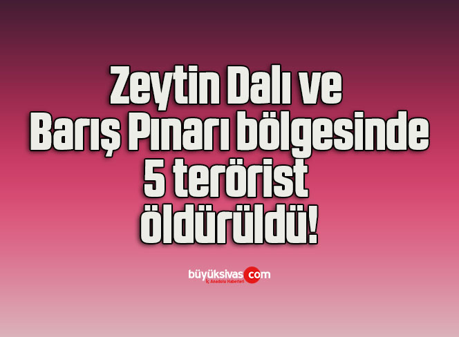 Zeytin Dalı ve Barış Pınarı bölgesinde 5 terörist öldürüldü!