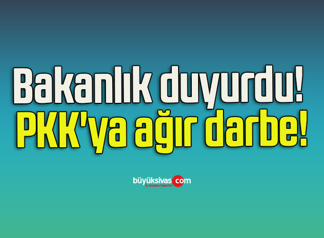 Bakanlık duyurdu! PKK’ya ağır darbe!