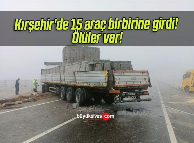 araç