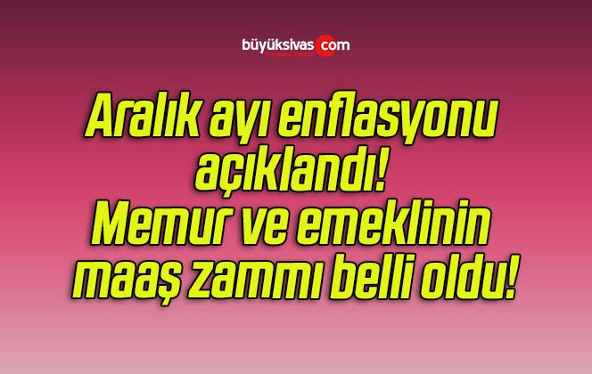 Aralık ayı enflasyonu açıklandı! Memur ve emeklinin maaş zammı belli oldu!