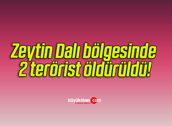 Zeytin Dalı bölgesinde 2 terörist öldürüldü!