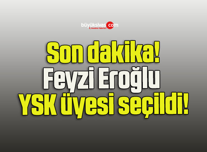 Feyzi Eroğlu YSK üyesi seçildi!