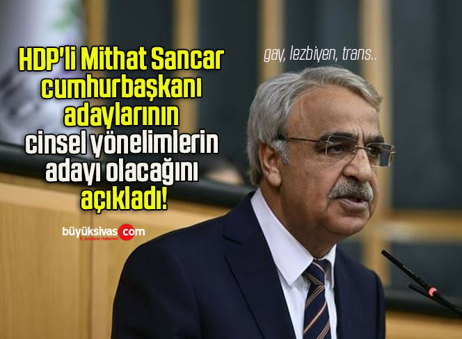 HDP’li Mithat Sancar cumhurbaşkanı adaylarının cinsel yönelimlerin adayı olacağını açıkladı!