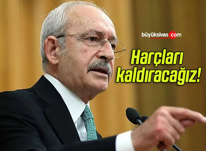 kaldıracağız