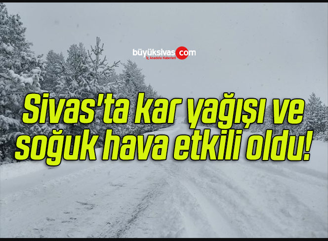 Sivas’ta kar yağışı ve soğuk hava etkili oldu! 